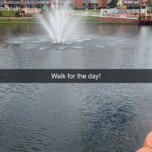 Day 1 walk!