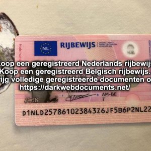 geregistreerde rijbewijzen, paspoorten, creditcardklonen.jpg