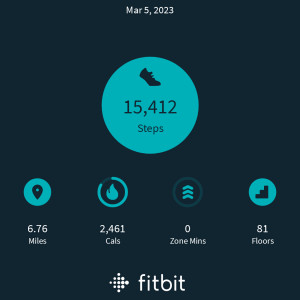 fitbitshare_878274326.PNG