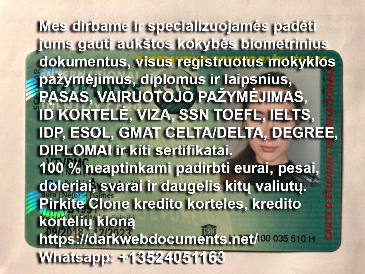 vairuotojo pažymėjimą, pasus, kreditinių kortelių klonus.jpg